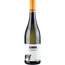 2023 Falanghina "San Salvatore"