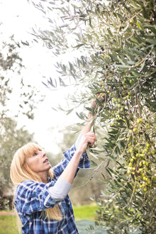 La Collina Blue Olive Oil