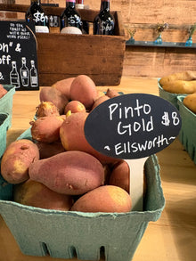 Pinto Gold Potatoes
