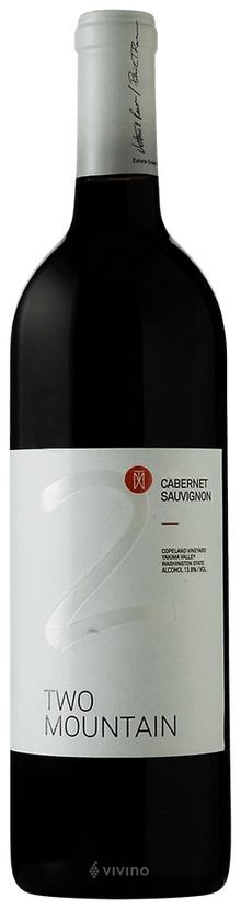 2023 Two Mountain Cabernet